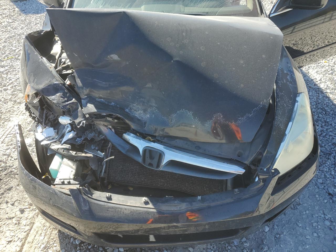 2007 Honda Accord VIN 1HGCM567X7A199437 Copart auction photo, front end / rear end damage thumbnail 11
