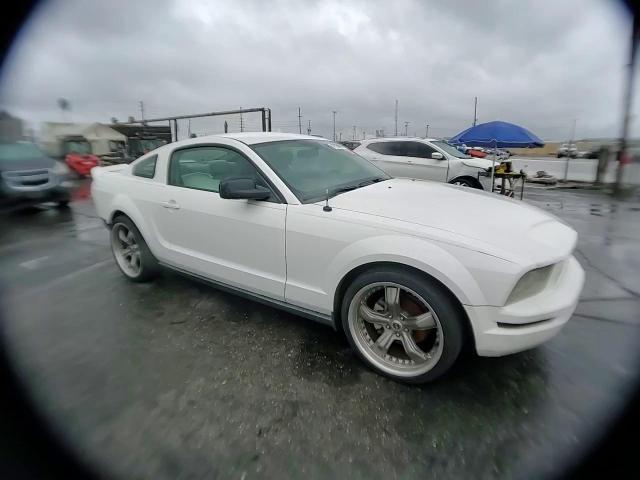 2006 Ford Mustang VIN 1ZVFT80N165163891 Copart auction photo, rear end damage thumbnail 11