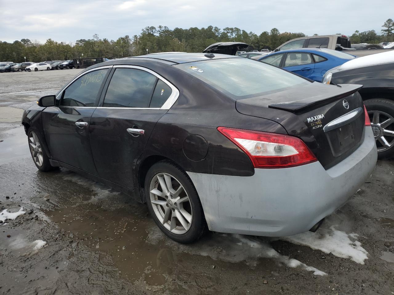2010 Nissan Maxima VIN 1N4AA5AP3AC873113 Copart auction photo, front end damage thumbnail 2