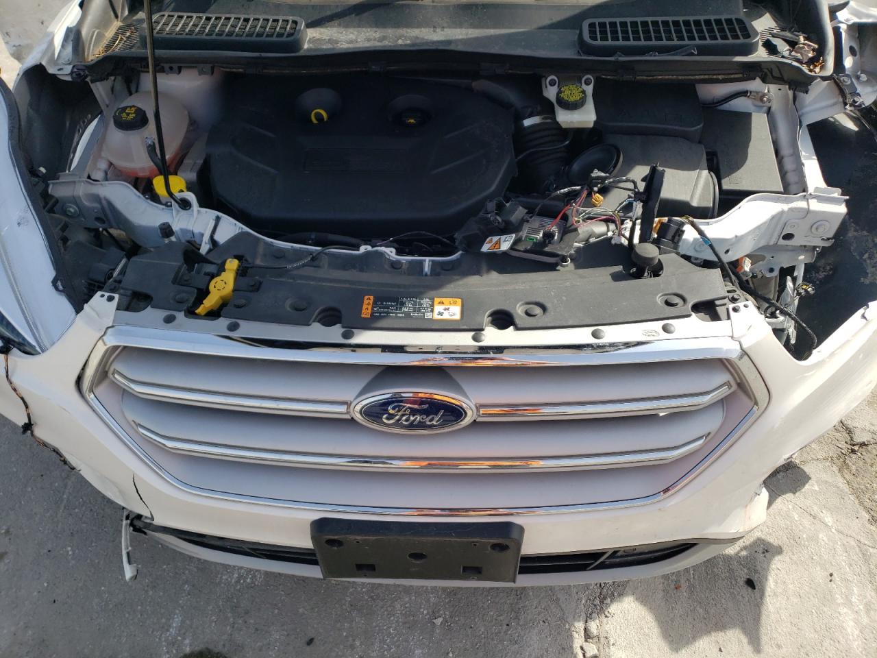 2019 Ford Escape VIN 1FMCU9J94KUC03970 Copart auction photo, front end / hail damage thumbnail 14