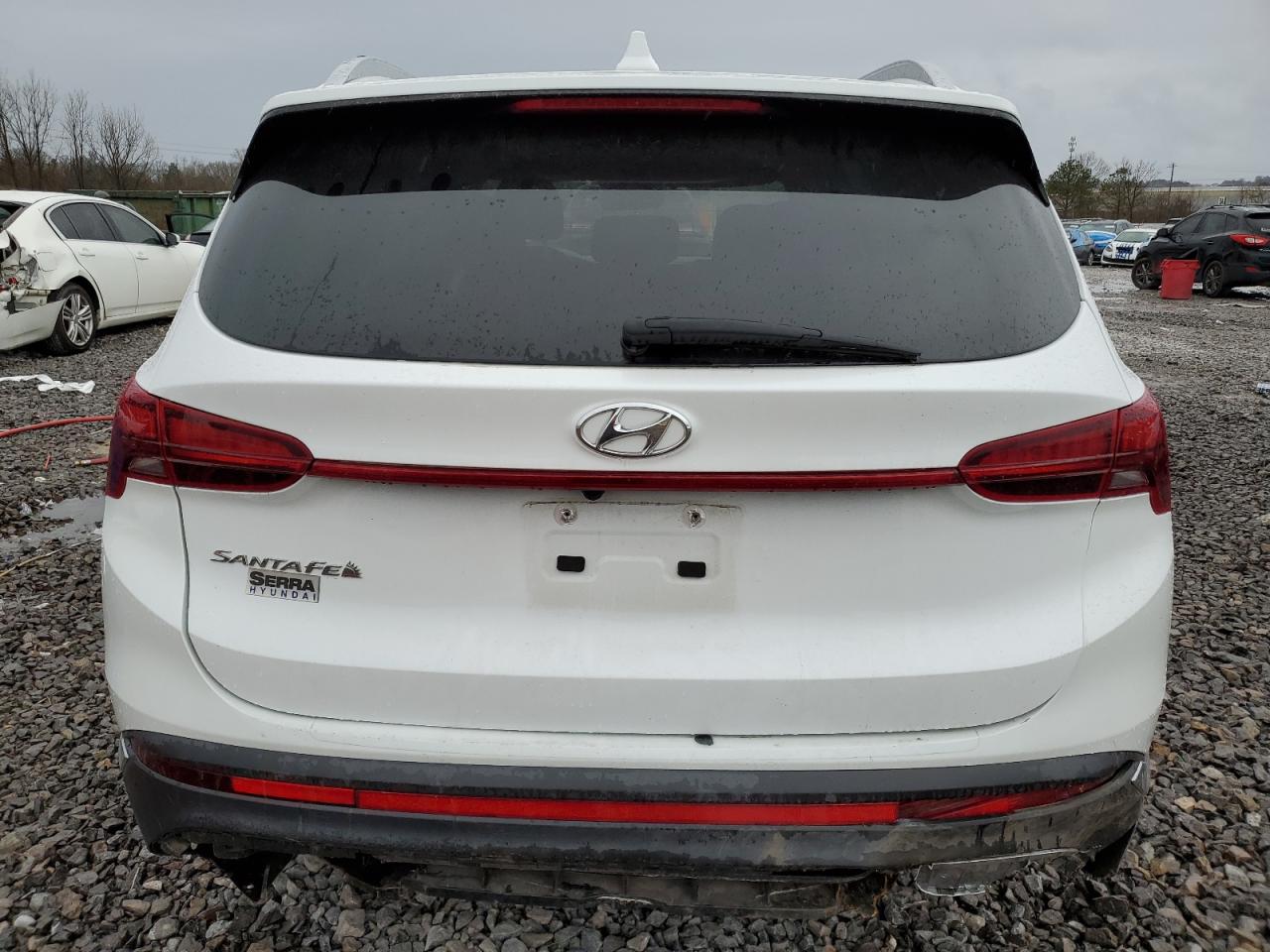 2022 Hyundai Santa Fe VIN 5NMS24AJ4NH435094 Copart auction photo, side damage thumbnail 6