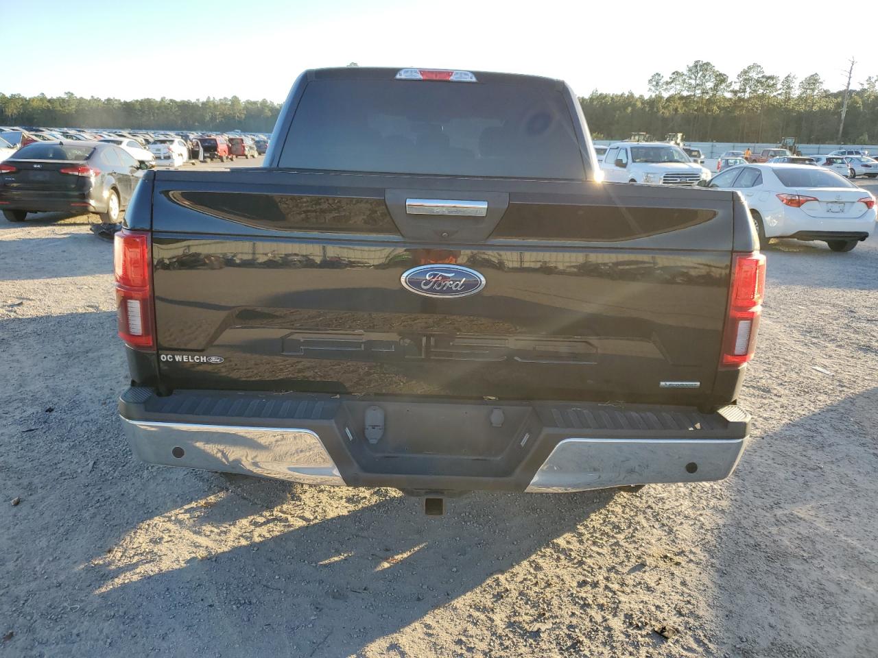 2018 Ford F-150 VIN 1FTEW1CG8JFC09083 Copart auction photo, side damage thumbnail 6