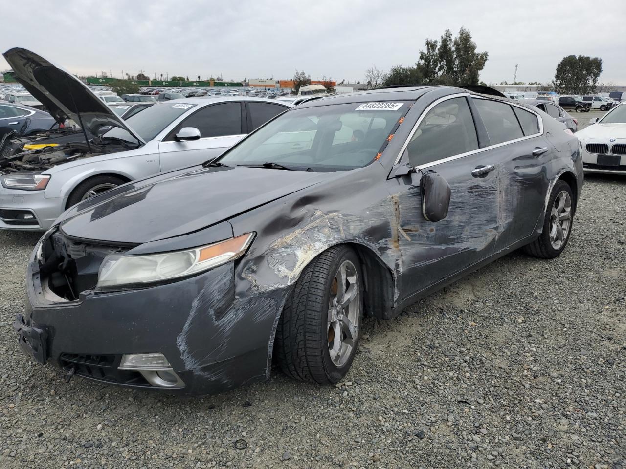 2010 Acura TL VIN 19UUA9F53AA000223