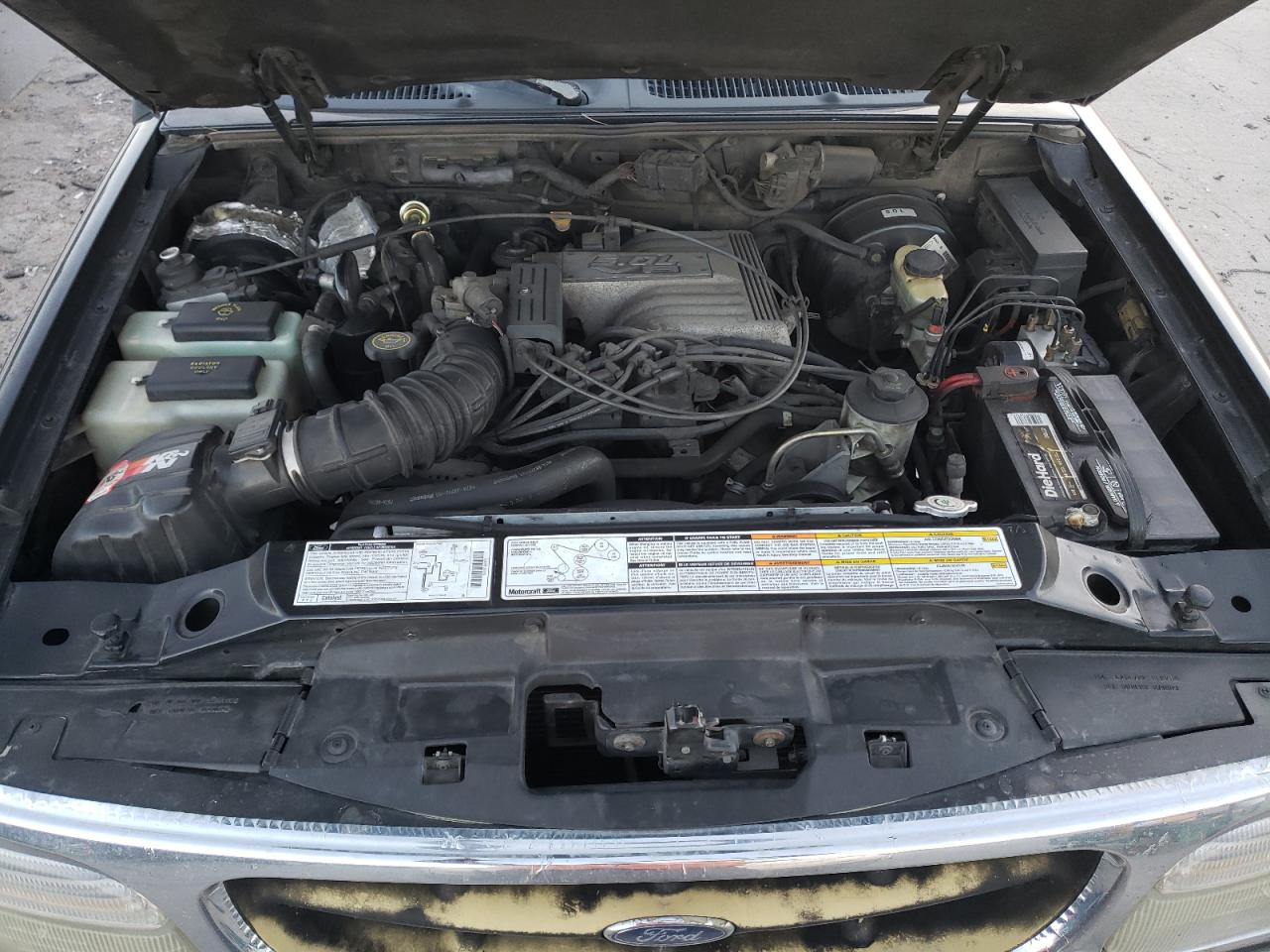 1999 Ford Explorer VIN 1FMZU35P8XZA31923 Copart auction photo, rear end / hail damage thumbnail 12