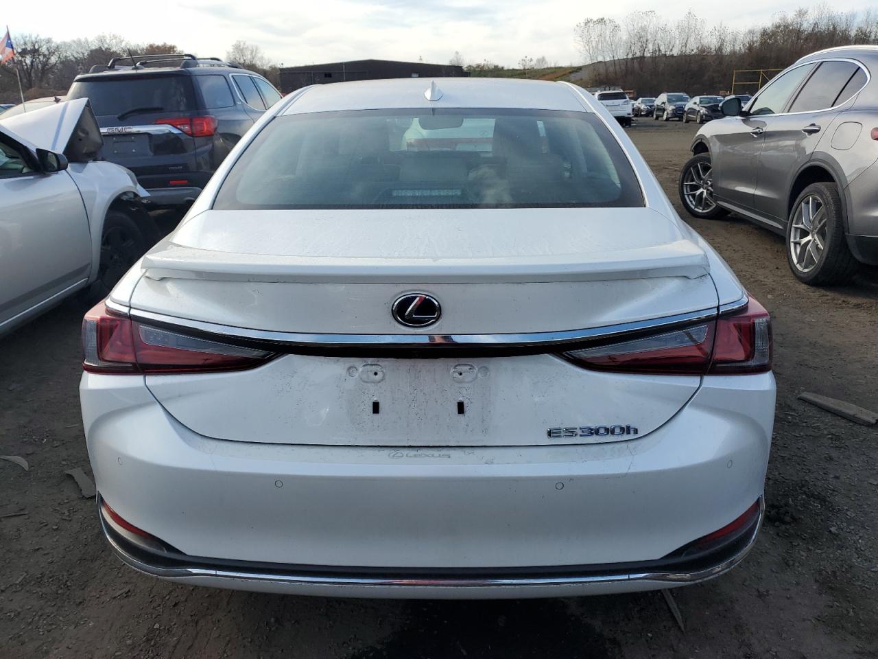 2021 Lexus ES VIN 58AEA1C13MU010358 Copart auction photo, side / minor dent/scratches damage thumbnail 6