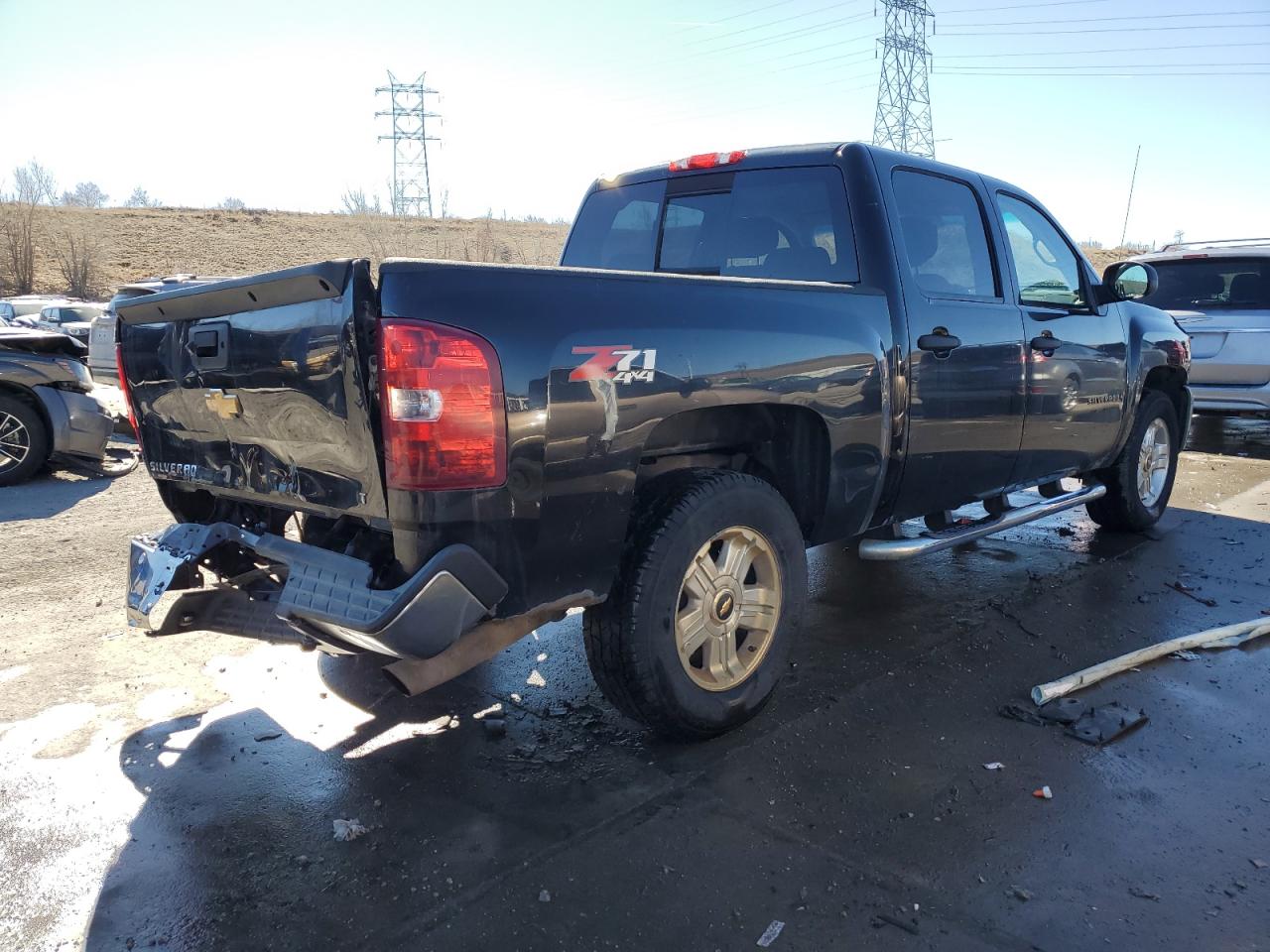 2013 Chevrolet Silverado VIN 3GCPKSE25DG169401 Copart auction photo, rear end / hail damage thumbnail 3