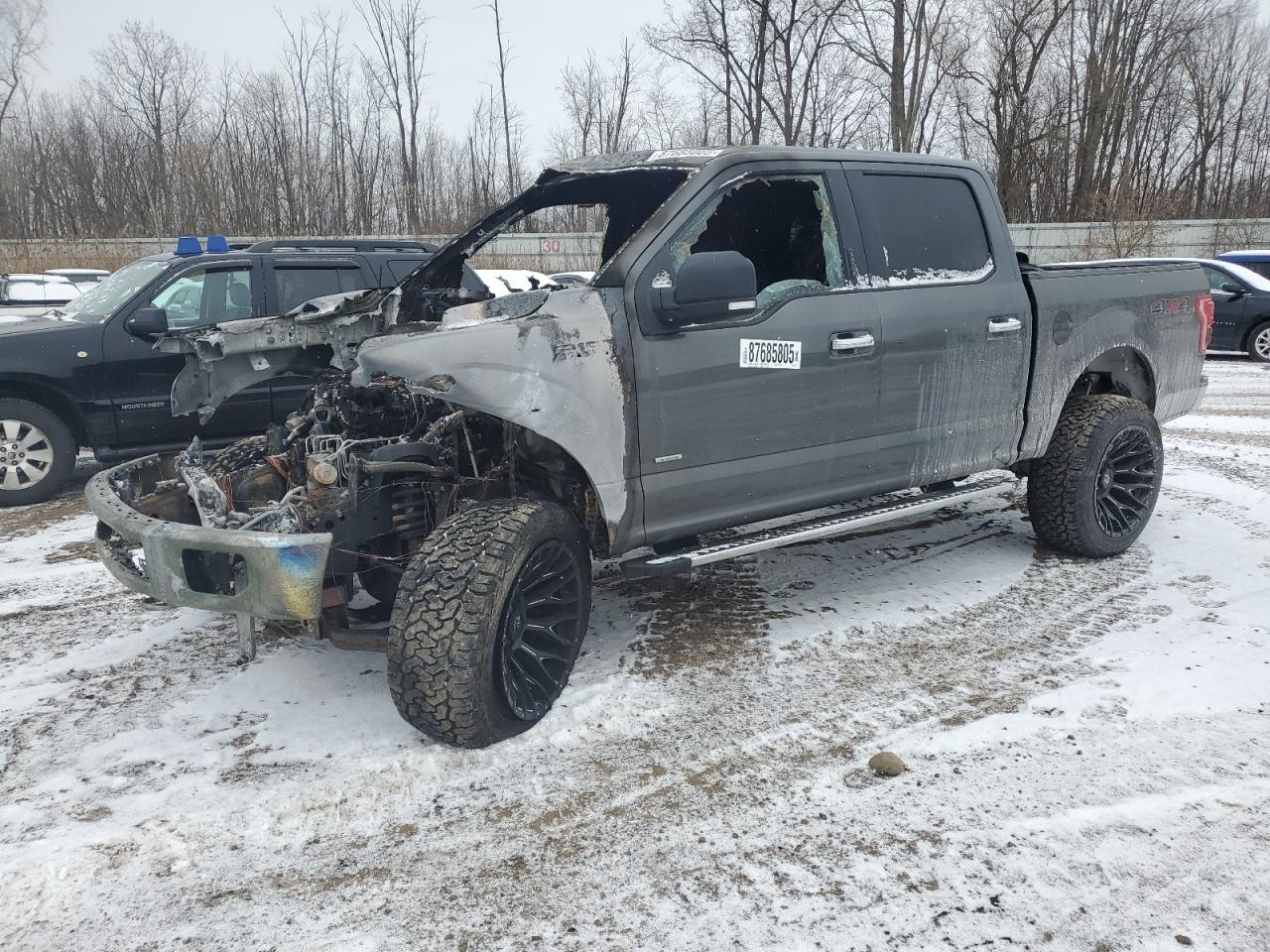2015 Ford F-150 VIN 1FTEW1EG9FFB32101