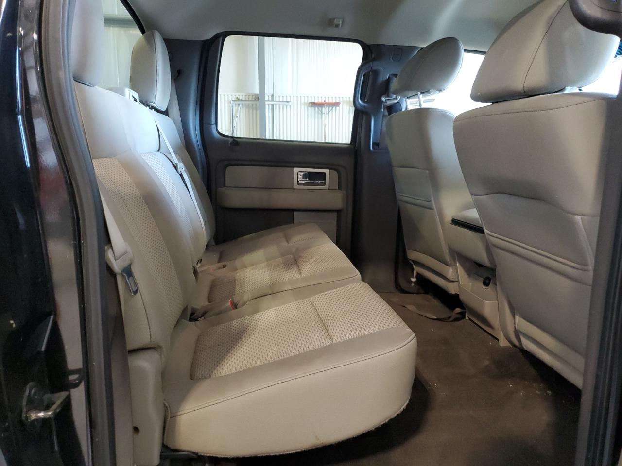 2010 Ford F-150 VIN 1FTFW1EV1AFA95217 Copart auction photo, rear end damage thumbnail 10