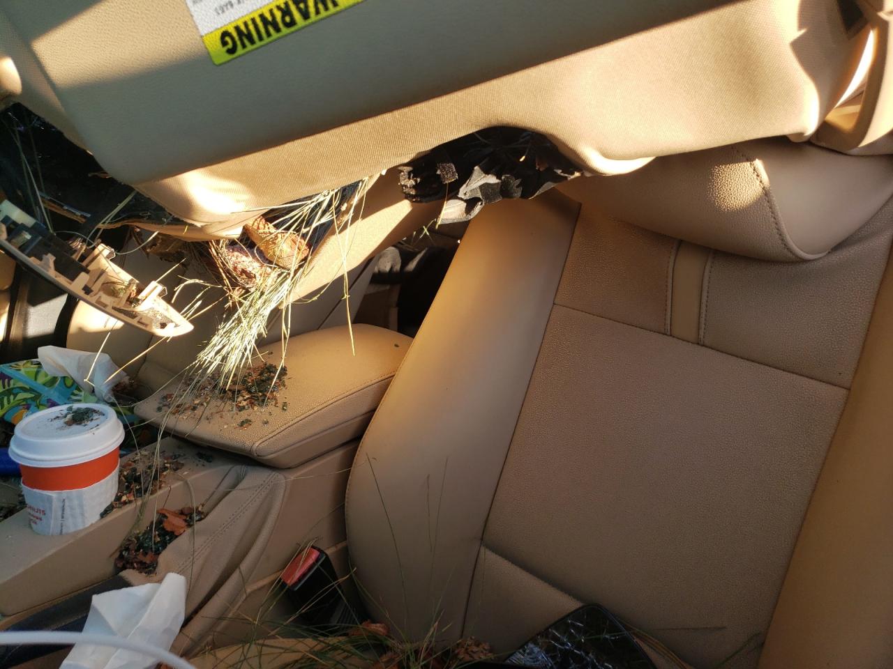 2006 BMW X3 VIN WBXPA93446WG75103 Copart auction photo, all over damage thumbnail 10