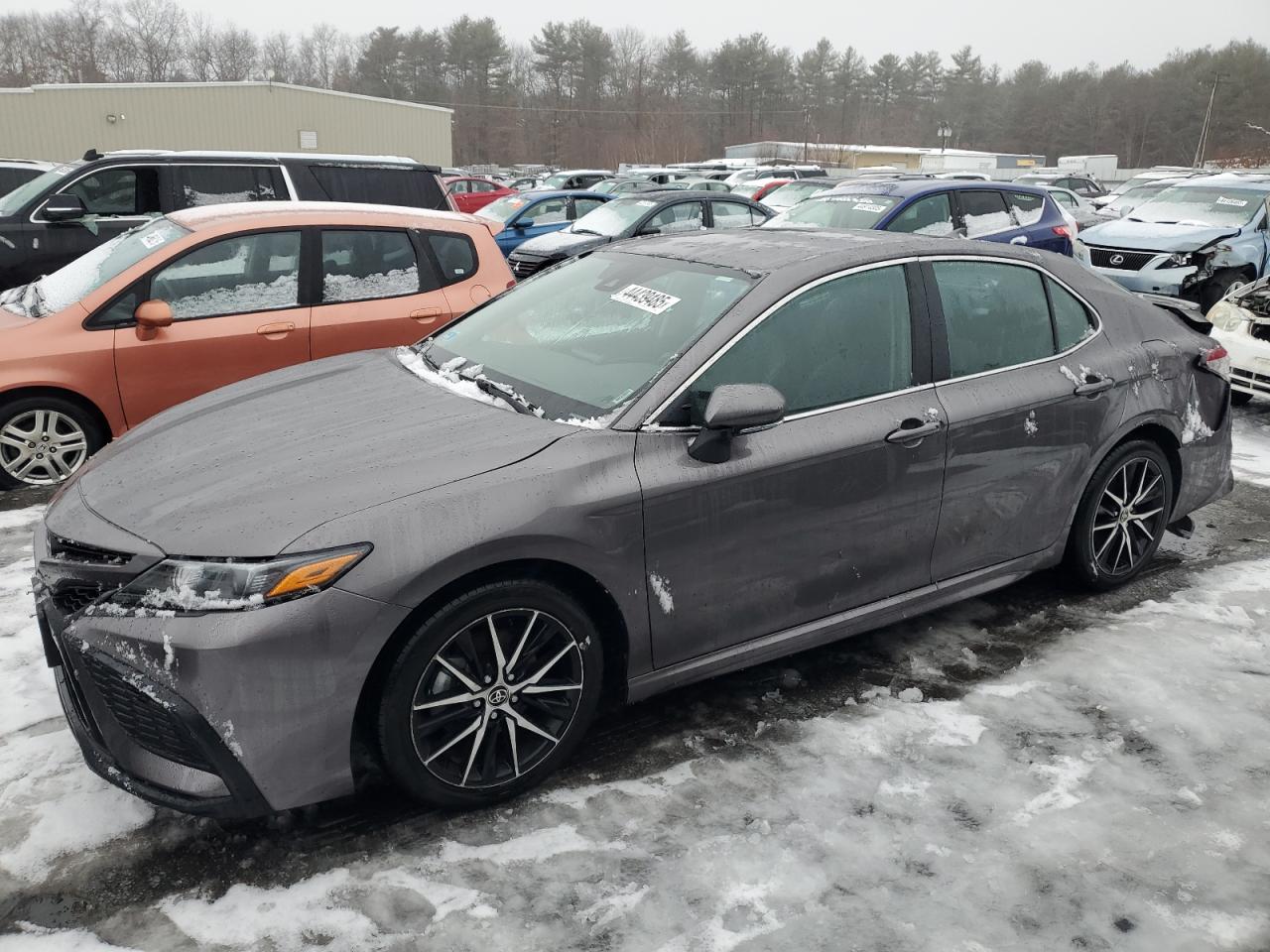 2024 Toyota Camry VIN 4T1G11AK5RU864464