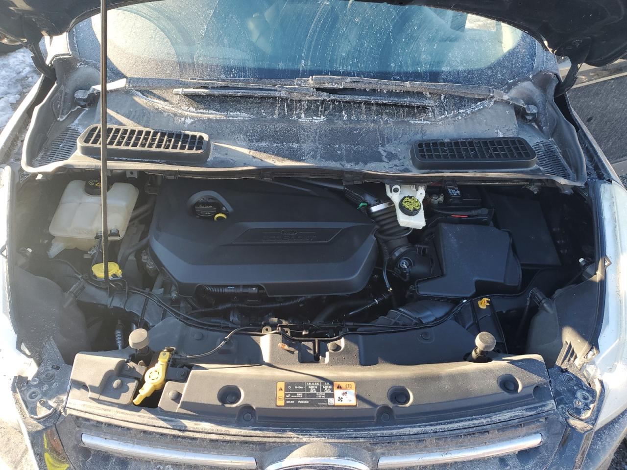 2015 Ford Escape VIN 1FMCU0GX0FUA66629 Copart auction photo, side / minor dent/scratches damage thumbnail 12