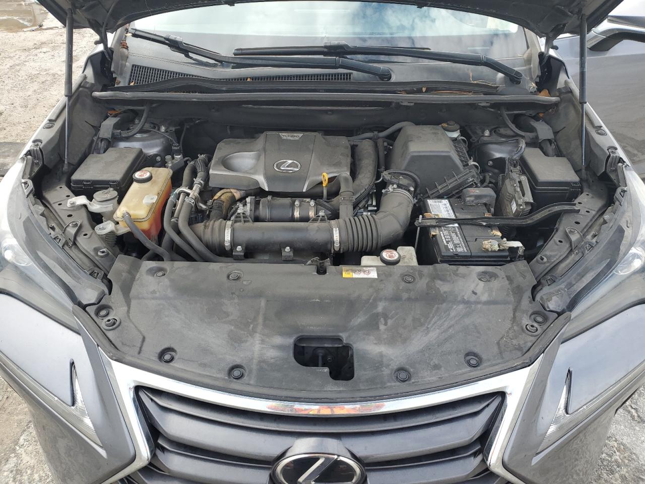 2017 Lexus NX VIN JTJYARBZ3H2073005 Copart auction photo, rear end damage thumbnail 12