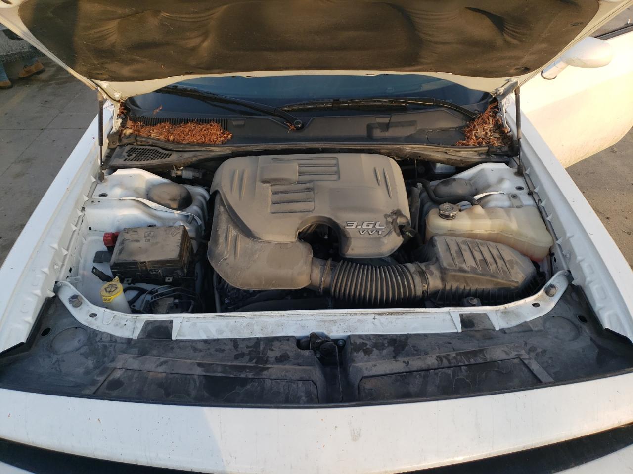 2021 Dodge Challenger VIN 2C3CDZAG4MH508222 Copart auction photo, side / rear end damage thumbnail 12