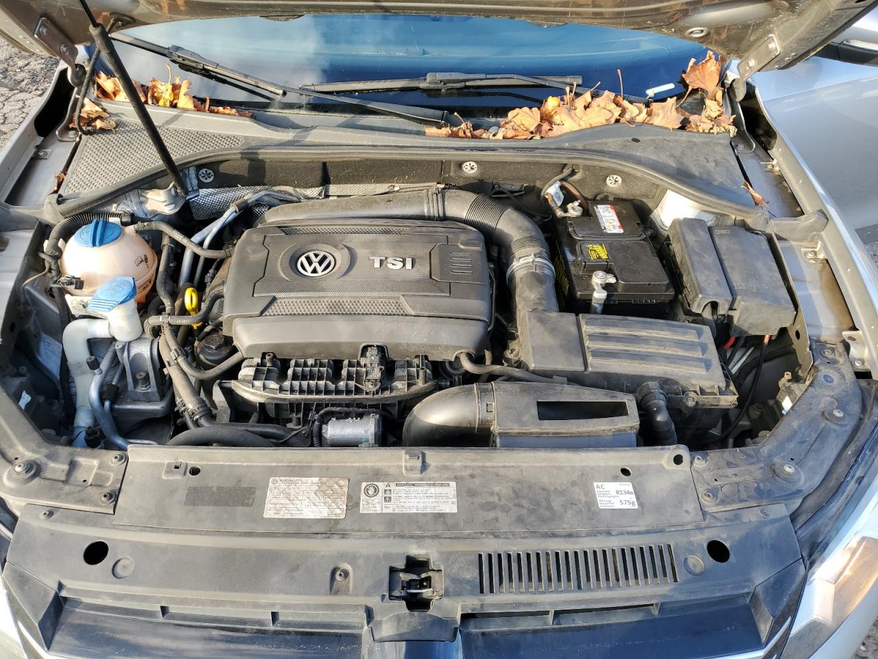 2014 Volkswagen Passat VIN 1VWAT7A37EC033769 Copart auction photo, rear end / side damage thumbnail 13