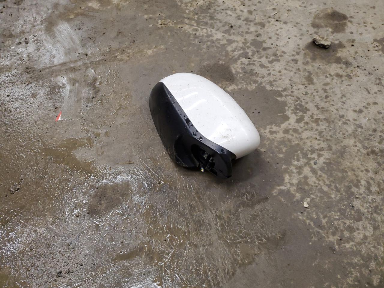 2019 KIA Sportage VIN KNDPMCAC1K7519453 Copart auction photo, side damage thumbnail 15
