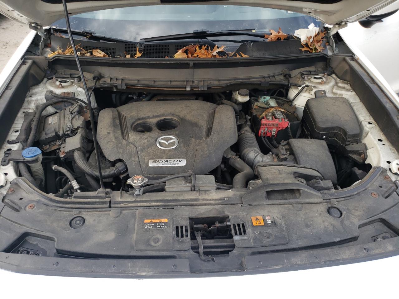 2016 Mazda CX-9 VIN JM3TCBDY0G0125548 Copart auction photo, front end / minor dent/scratches damage thumbnail 12