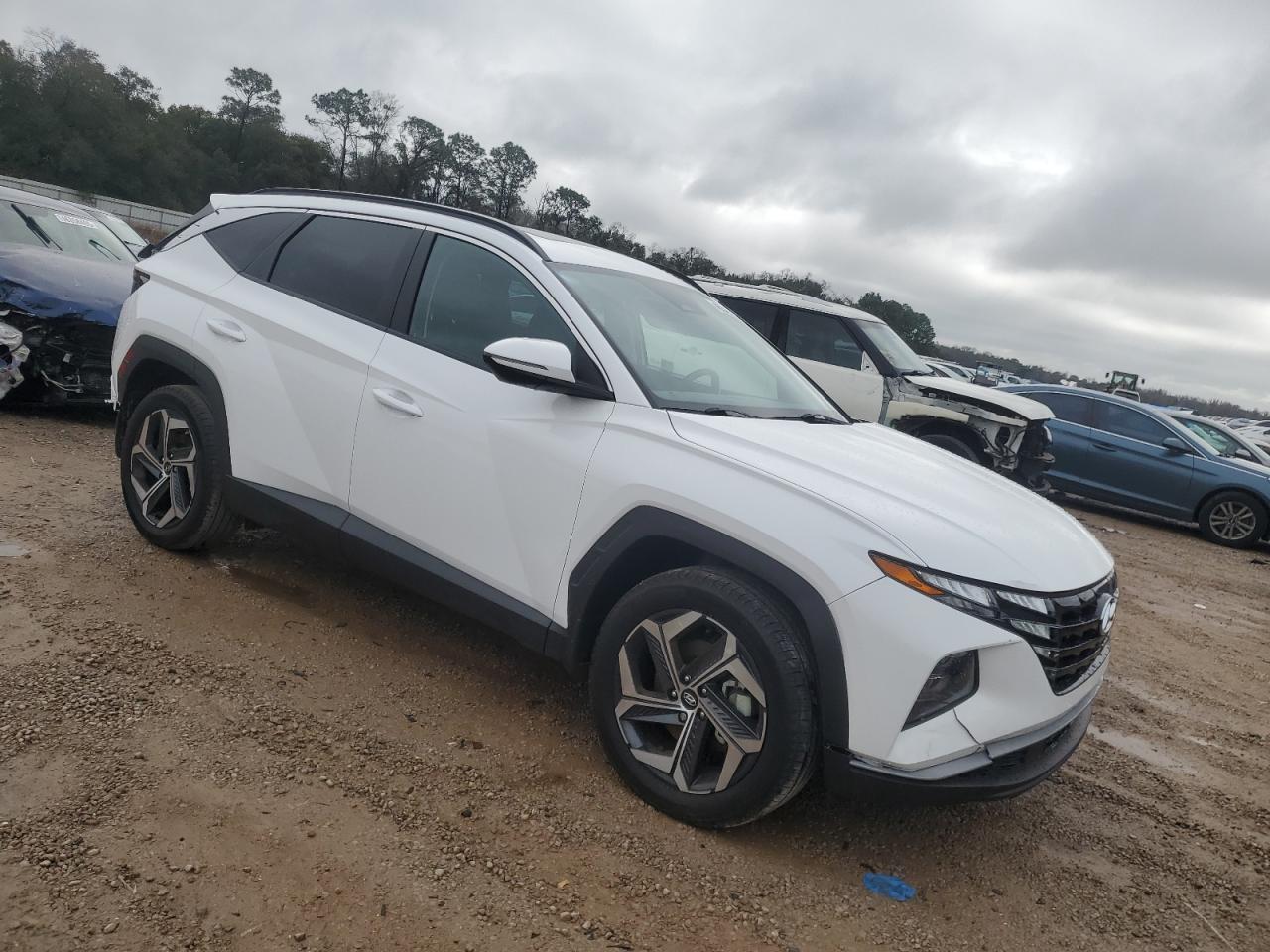 2024 Hyundai Tucson VIN 5NMJFCDE3RH353386 Copart auction photo, rear end damage thumbnail 4