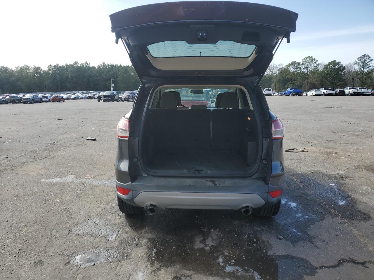 2015 Ford Escape VIN 1FMCU0G77FUC74314 Copart auction photo, side damage thumbnail 6