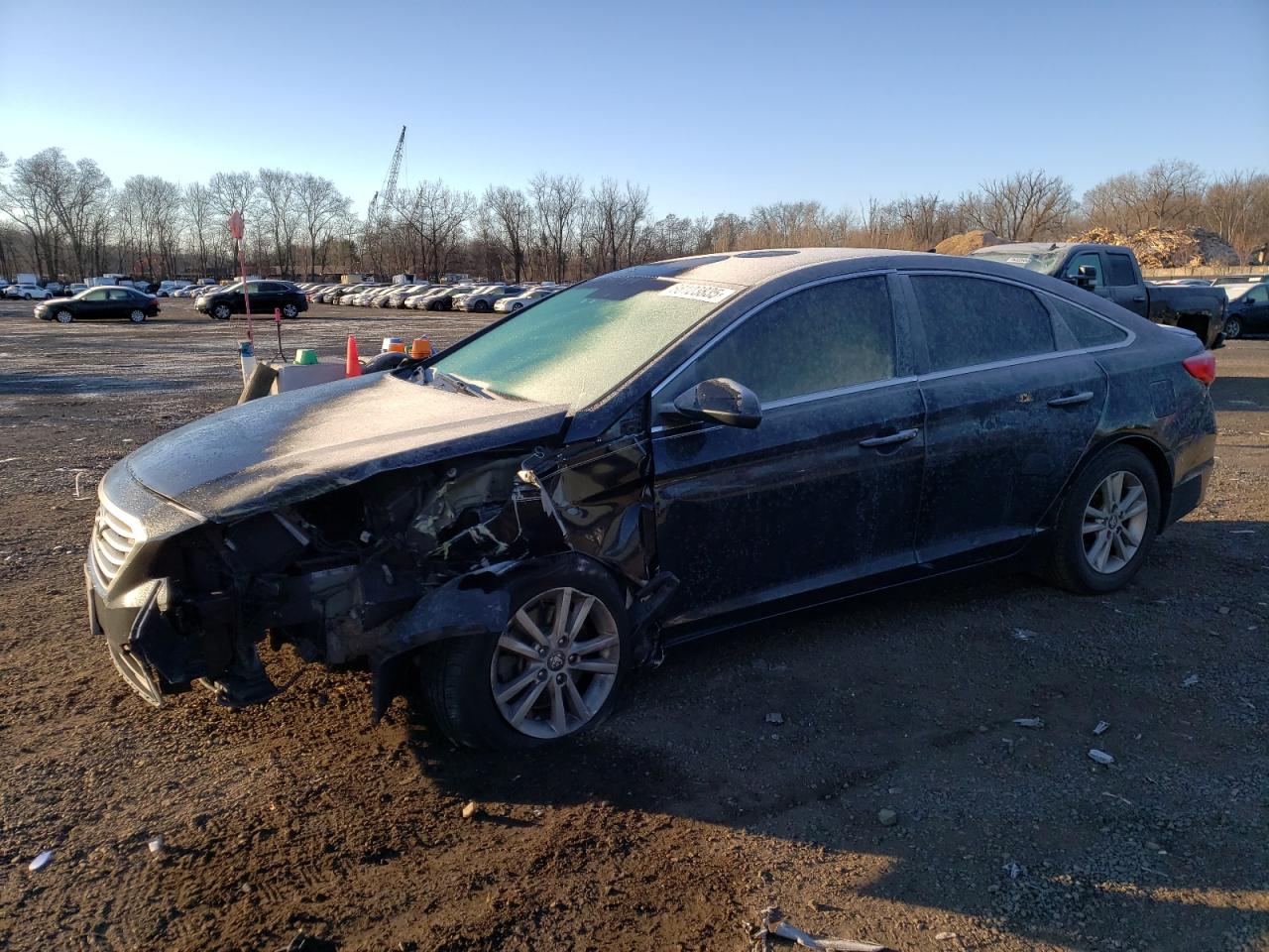 2015 Hyundai Sonata VIN 5NPE24AF5FH000355
