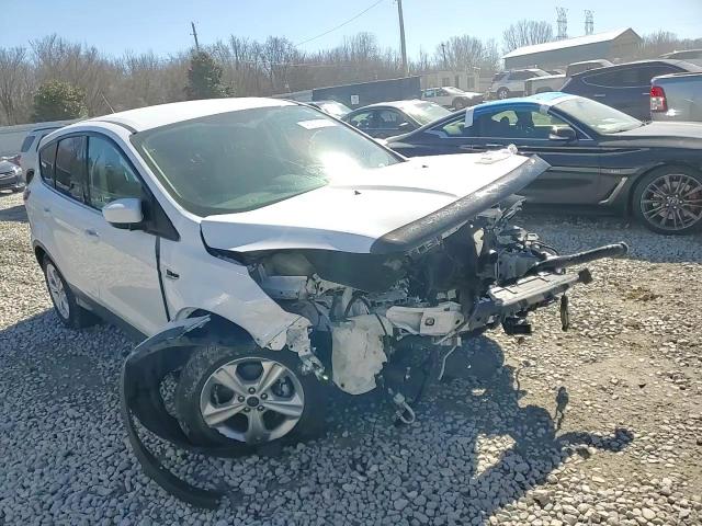 2014 Ford Escape VIN 1FMCU0GX1EUB22561 Copart auction photo, front end damage thumbnail 11