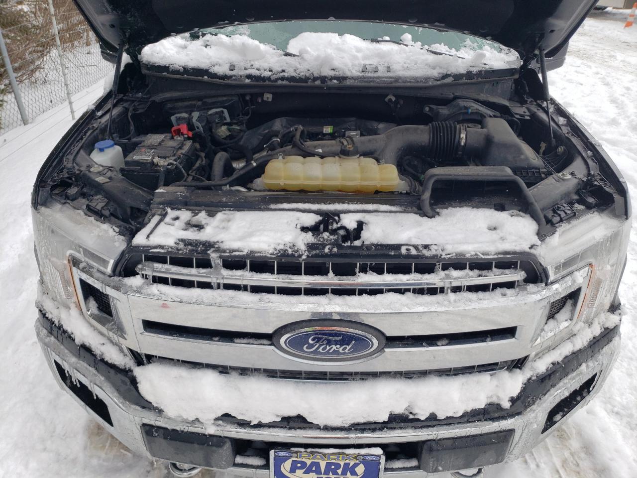 2020 Ford F-150 VIN 1FTEW1EP4LFB29831 Copart auction photo, rear end damage thumbnail 12
