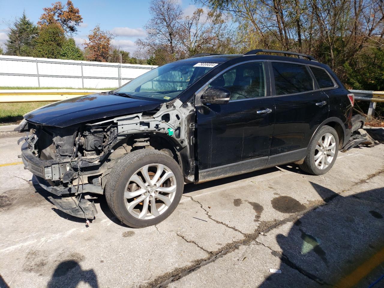 2011 Mazda CX-9 VIN JM3TB3DA2B0313413
