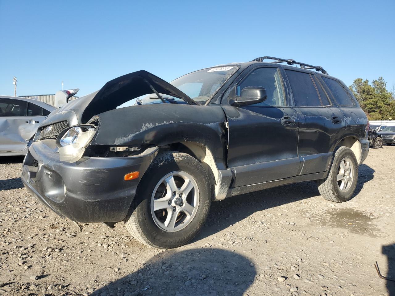 2004 Hyundai Santa Fe VIN KM8SC13E84U788632