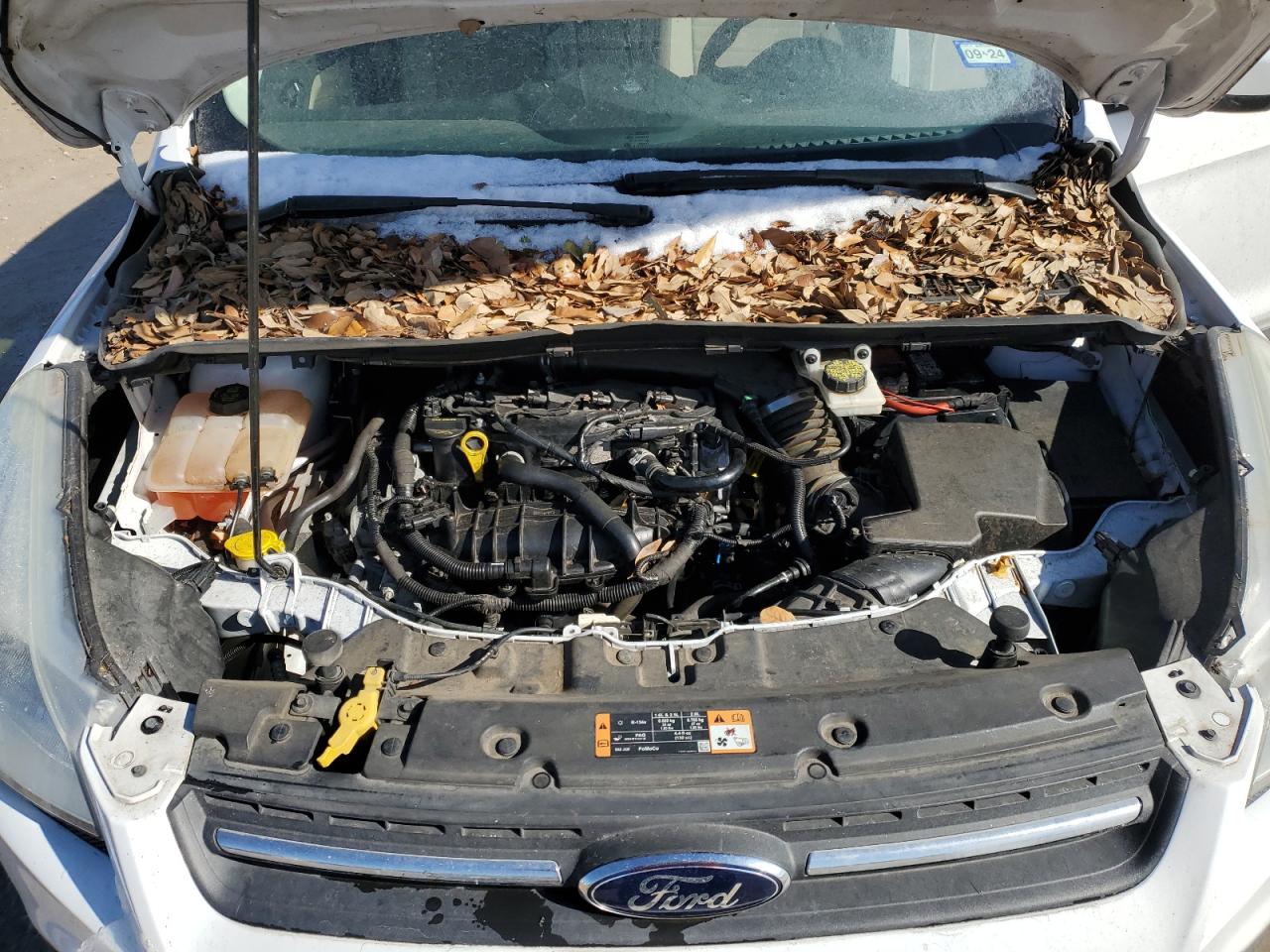 2015 Ford Escape VIN 1FMCU9GX0FUA44604 Copart auction photo, rear end / minor dent/scratches damage thumbnail 12