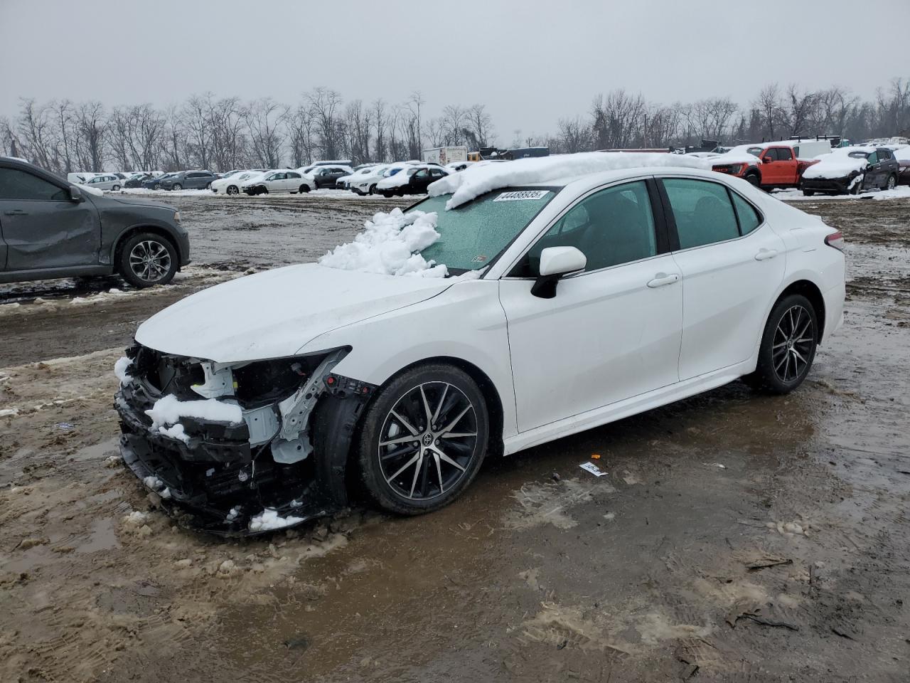 2024 Toyota Camry VIN 4T1G31AK3RU620855