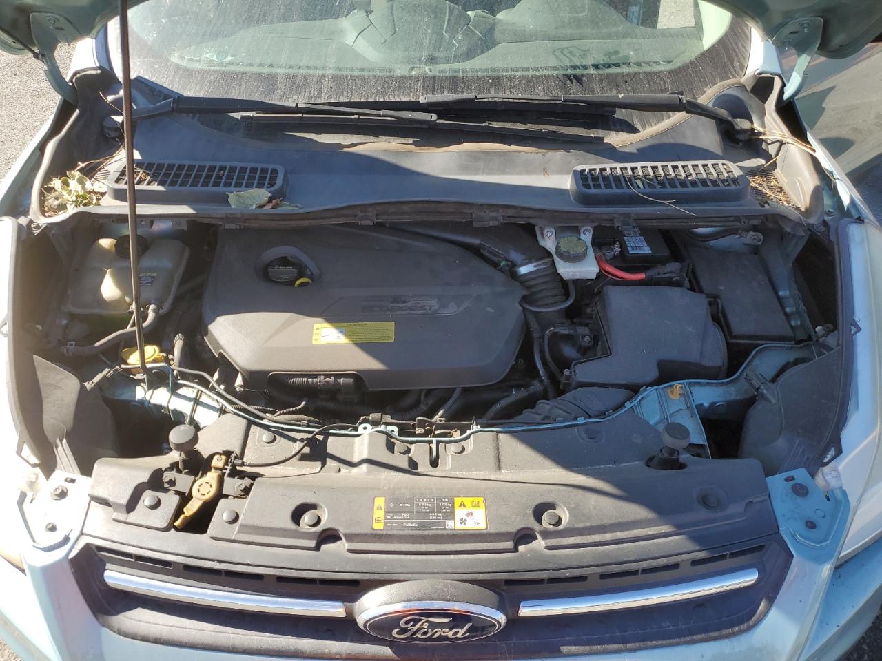 2013 Ford Escape VIN 1FMCU0GX2DUD24131 Copart auction photo, side damage thumbnail 13