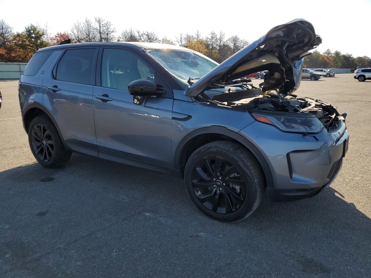 2020 Land Rover Discovery VIN SALCP2FX4LH881485 Copart auction photo, all over damage thumbnail 4