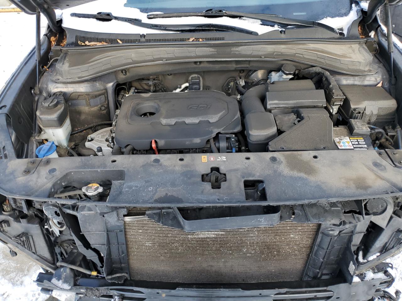 2019 Hyundai Santa Fe VIN 5NMS3CAD4KH004221 Copart auction photo, front end damage thumbnail 12
