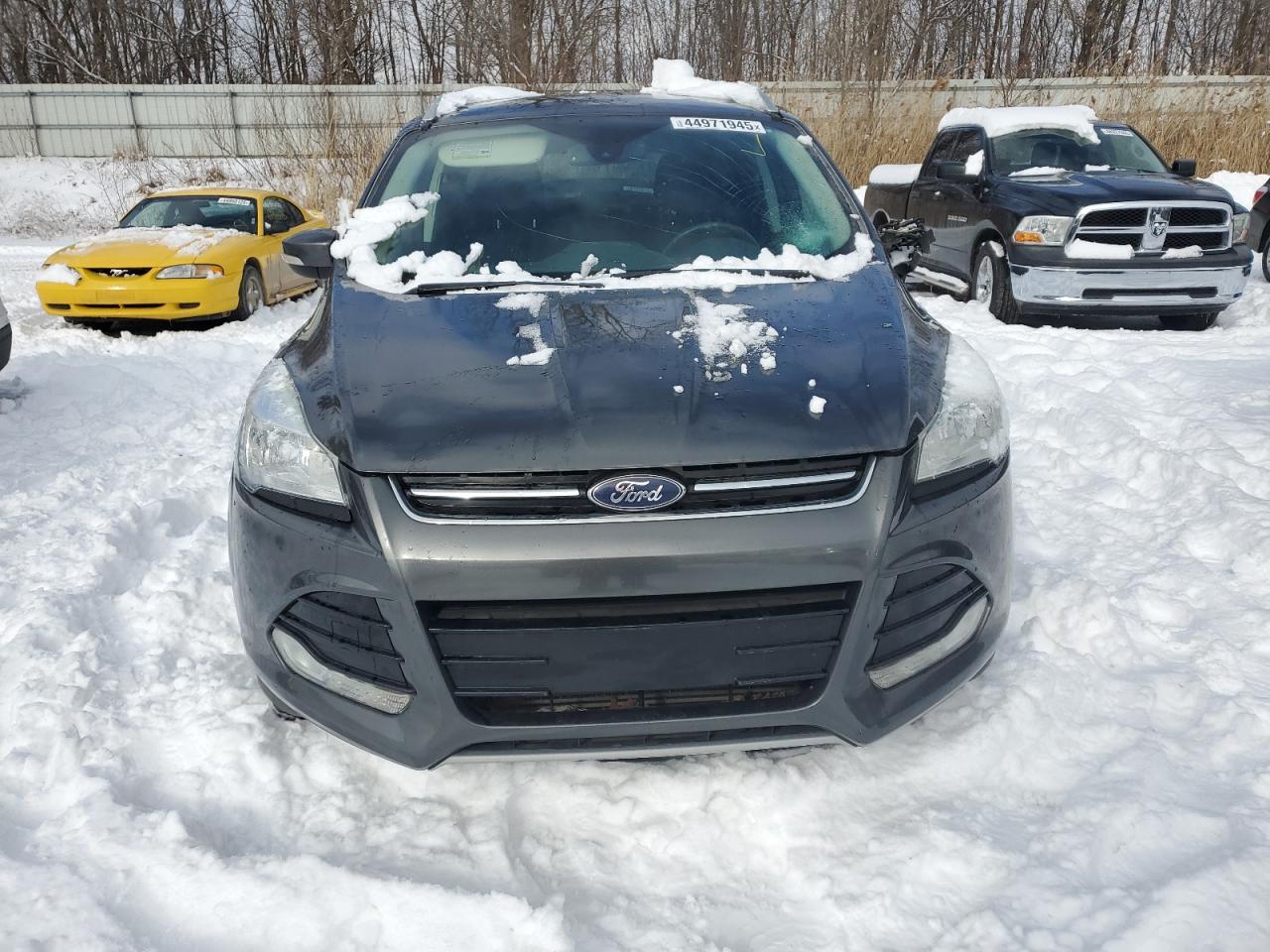 2016 Ford Escape VIN 1FMCU9J9XGUC55384 Copart auction photo, side / minor dent/scratches damage thumbnail 5