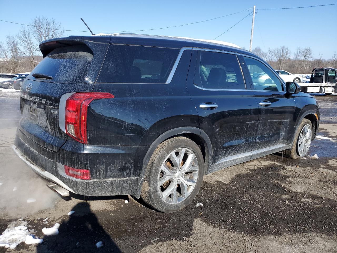 2020 Hyundai Palisade VIN KM8R4DHE3LU106129 Copart auction photo, side / rear end damage thumbnail 3