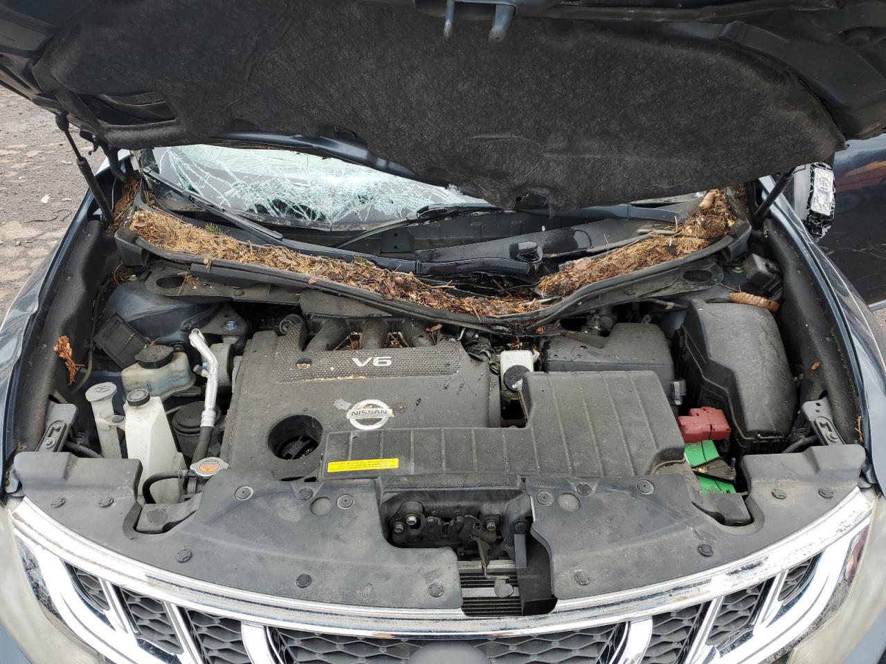 2014 Nissan Murano VIN JN8AZ1MW8EW527842 Copart auction photo, top/roof damage thumbnail 12