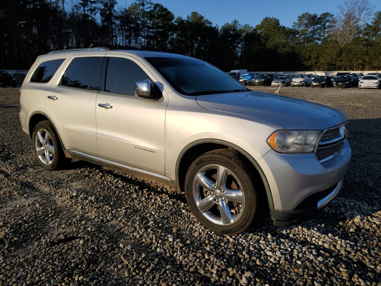 2012 Dodge Durango VIN 1C4SDHET3CC181810 Copart auction photo, side damage thumbnail 4