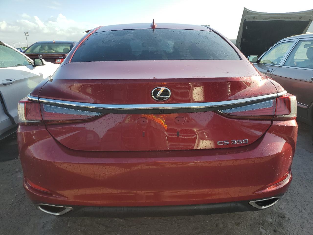 2019 Lexus ES VIN 58ABZ1B18KU025688 Copart auction photo, water/flood damage thumbnail 6
