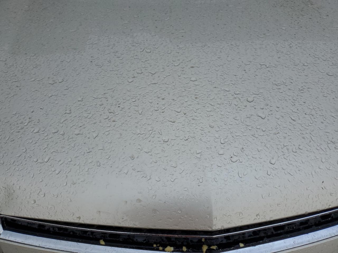 2013 Chevrolet Captiva VIN 3GNAL2EK5DS624142 Copart auction photo, front end damage thumbnail 12