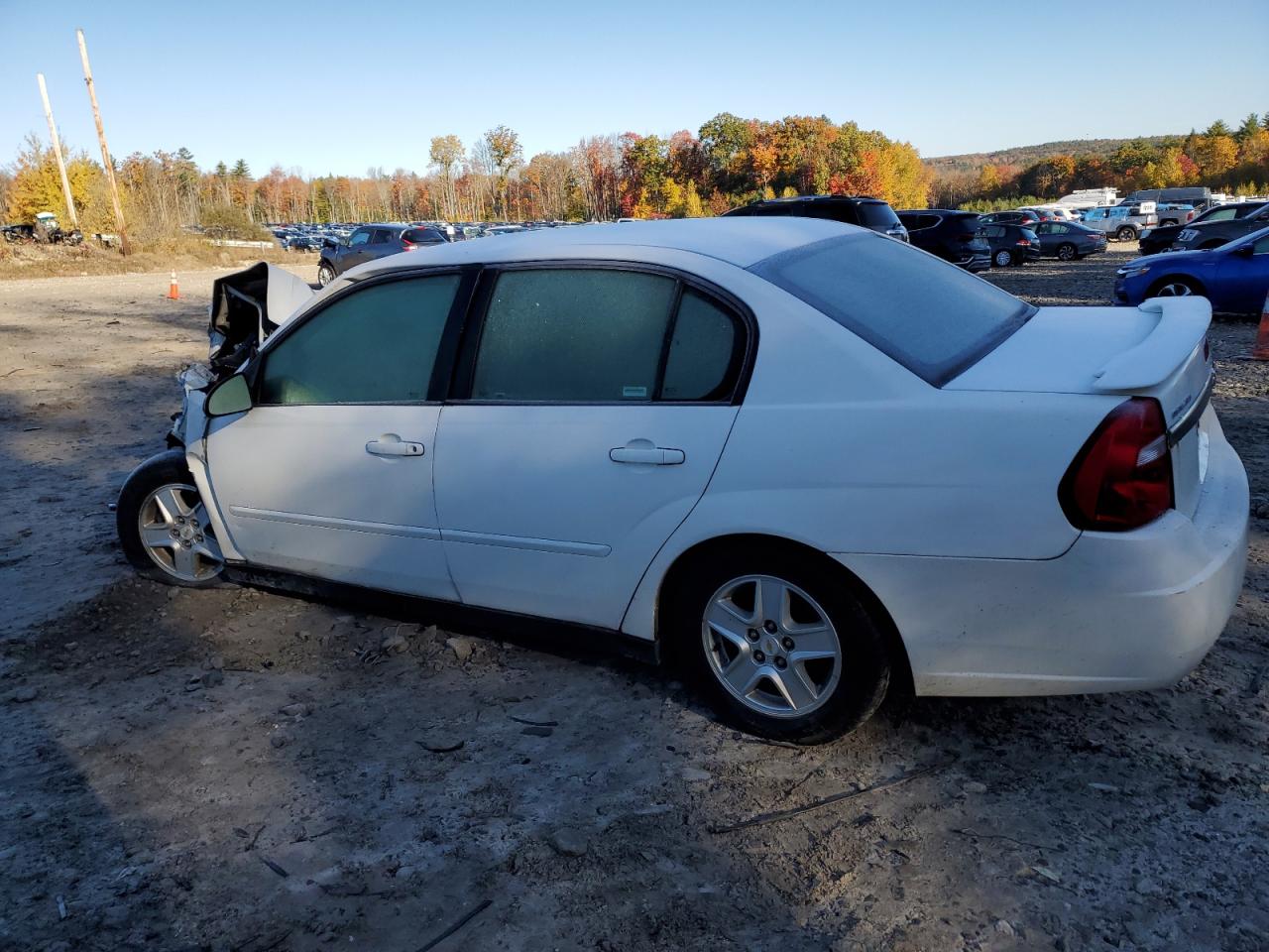2005 Chevrolet Malibu VIN 1G1ZT52865F306762 Copart auction photo, front end damage thumbnail 2