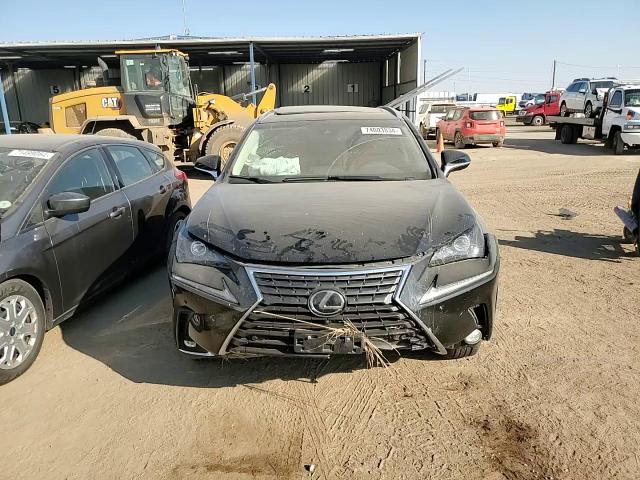 2019 Lexus NX VIN JTJBARBZ3K2207850 Copart auction photo, front end damage thumbnail 11