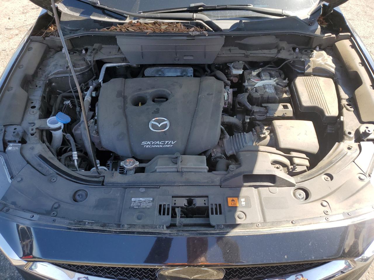 2018 Mazda CX-5 VIN JM3KFACM4J0300242 Copart auction photo, front end / minor dent/scratches damage thumbnail 14