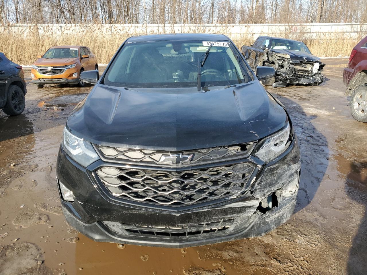2019 Chevrolet Equinox VIN 2GNAXLEX4K6227166 Copart auction photo, front end / rear end damage thumbnail 5