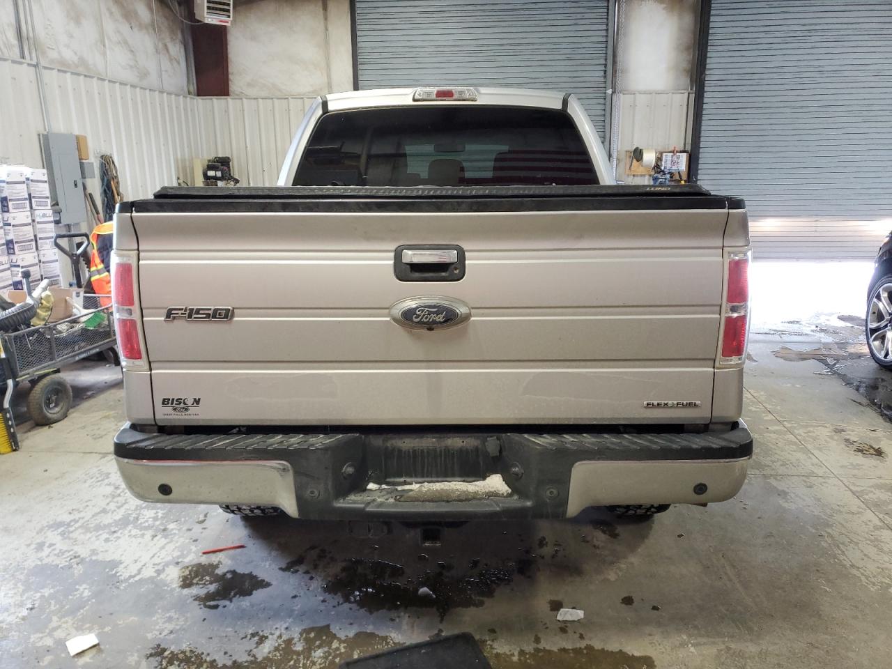 2014 Ford F-150 VIN 1FTFW1EF2EFB34394 Copart auction photo, side / minor dent/scratches damage thumbnail 6