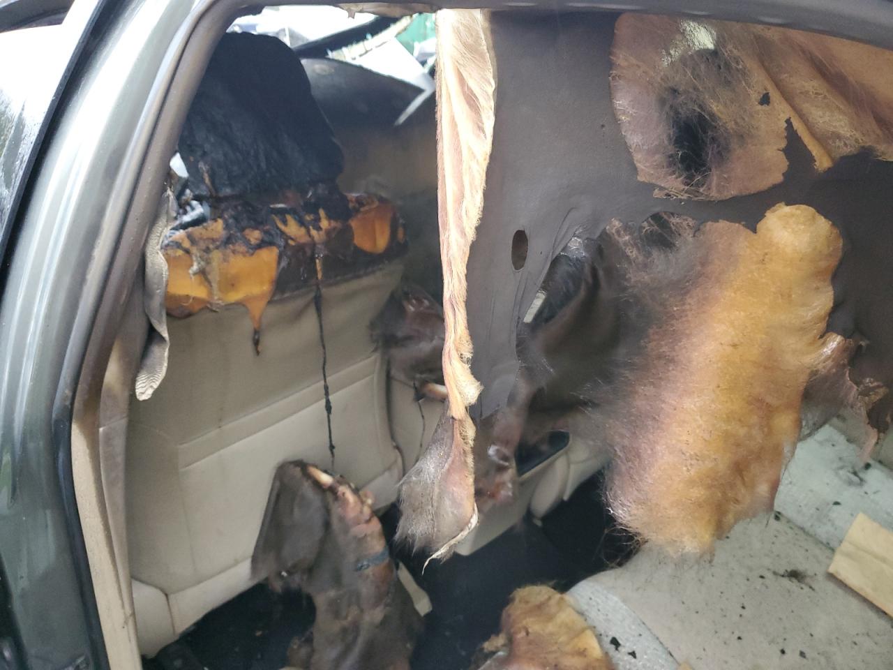 2012 Toyota Camry VIN 4T4BF1FK3CR244326 Copart auction photo, burn - engine / burn damage thumbnail 8