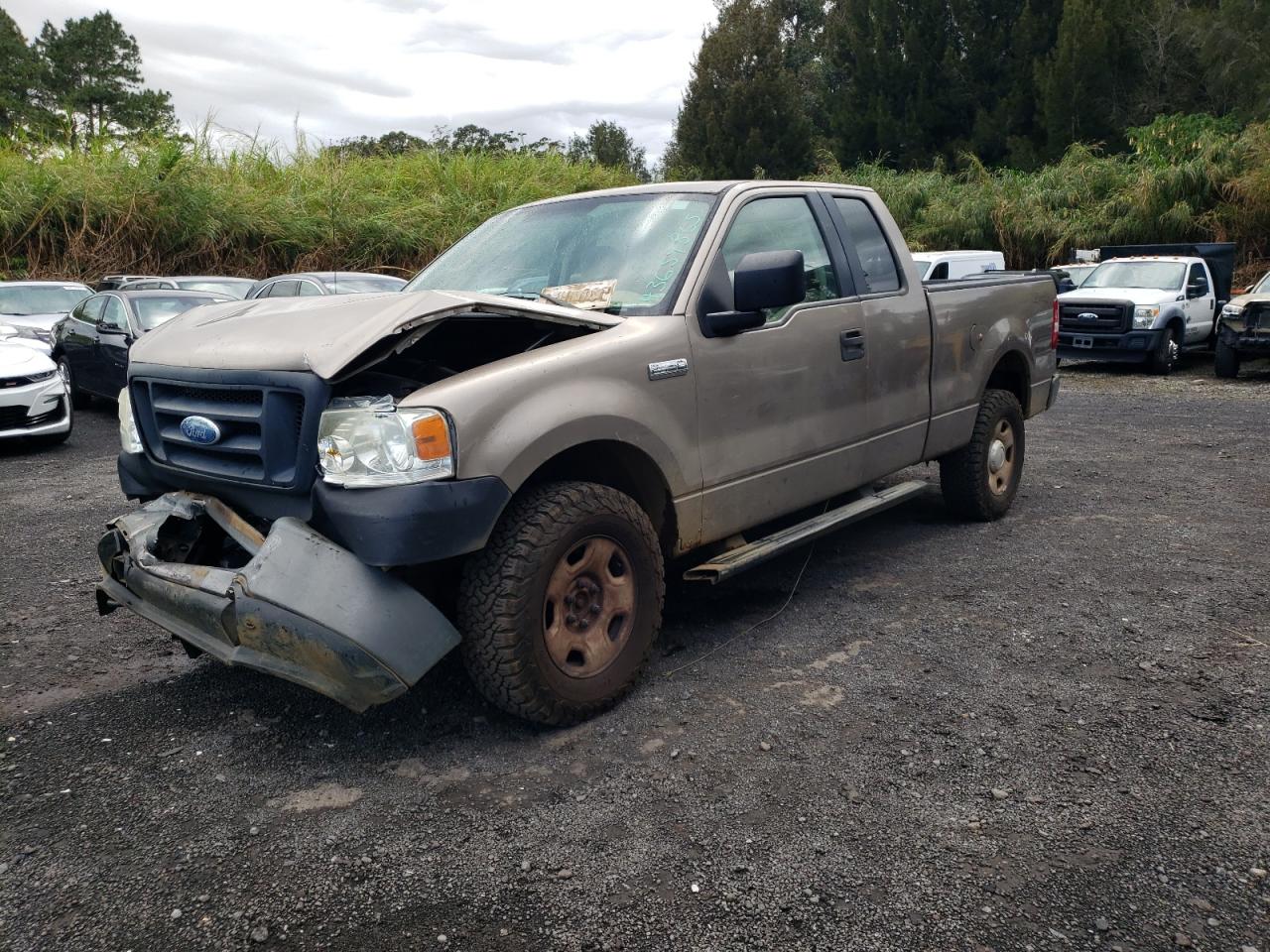 2006 Ford F-150 VIN 1FTRX14W86KA81835