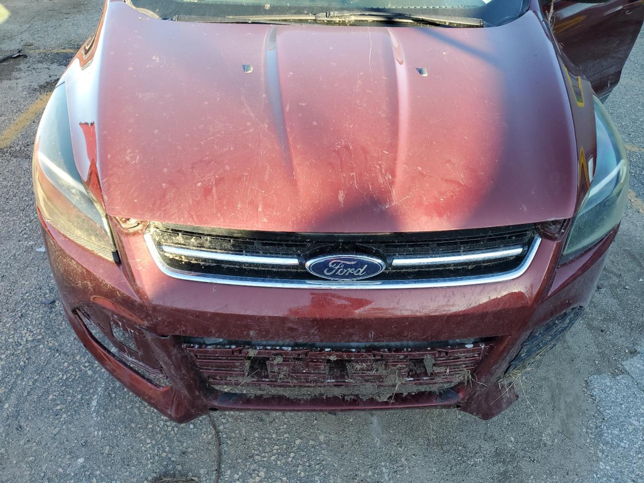 2014 Ford Escape VIN 1FMCU0JX3EUE37354 Copart auction photo, front end / minor dent/scratches damage thumbnail 14