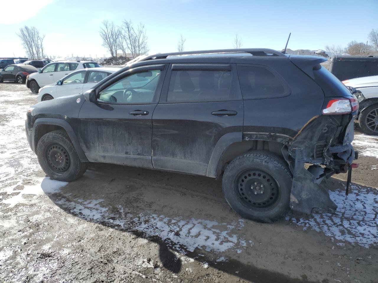 2016 Jeep Cherokee VIN 1C4PJMBSXGW365214 Copart auction photo, rear end / side damage thumbnail 2