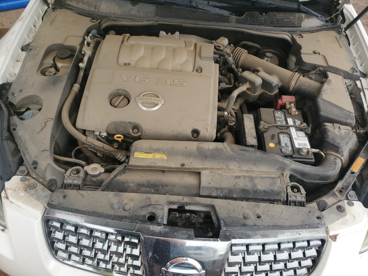 2004 Nissan Maxima VIN 1N4BA41E04C880781 Copart auction photo, vandalism damage thumbnail 11