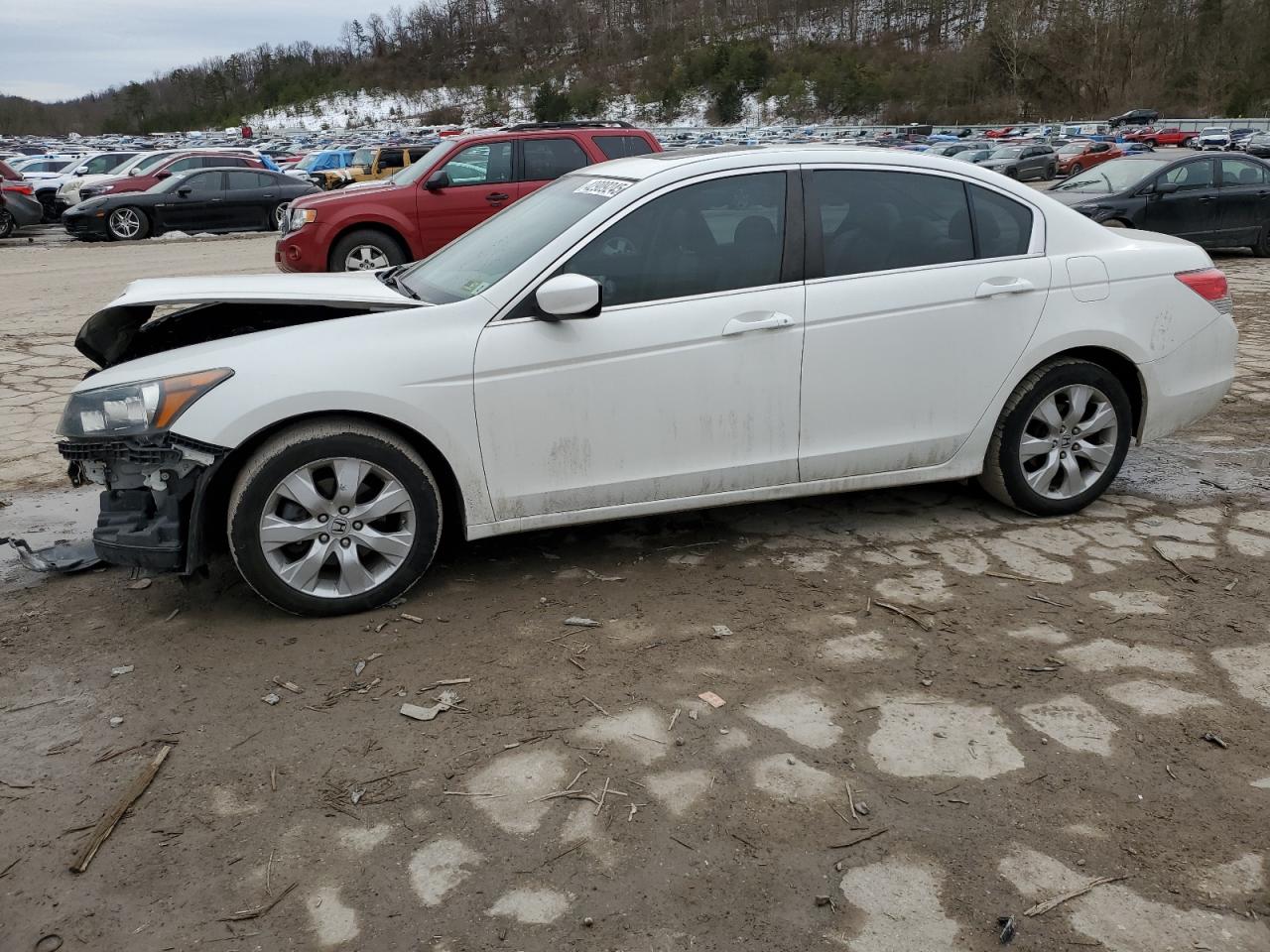 2010 Honda Accord VIN 1HGCP2F81AA090676