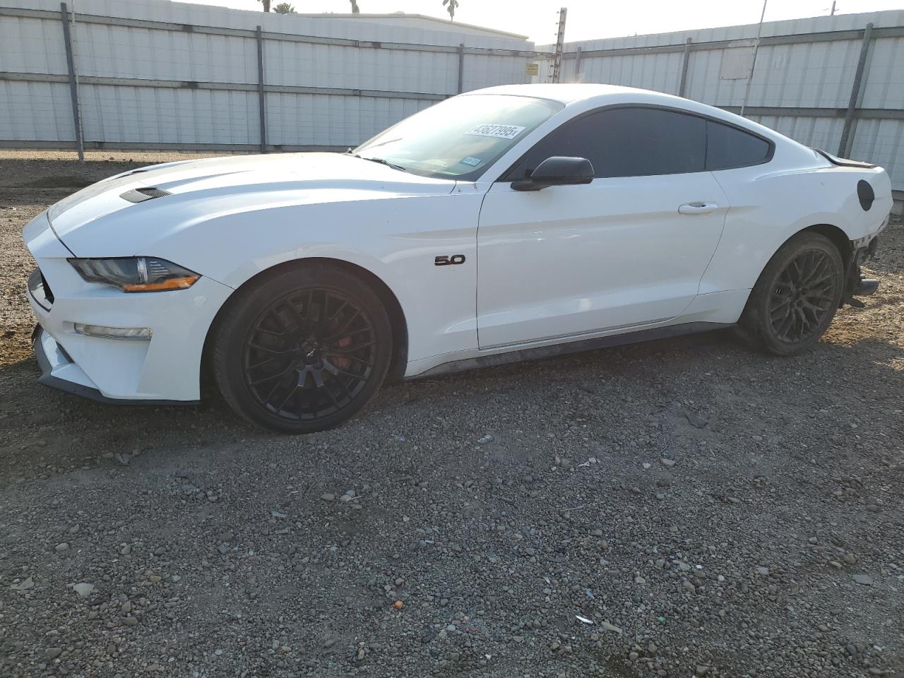 2019 Ford Mustang VIN 1FA6P8CF1K5139716